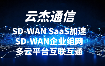 sd-wan组网供应商介绍
