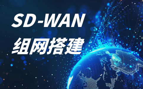 2025年企业异地组网方案解析：如何搭建高效办公网络?